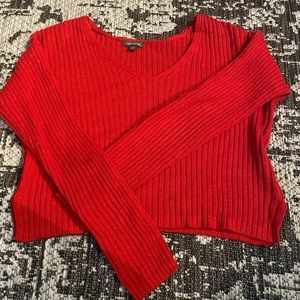 Small, wild fable red sweater.